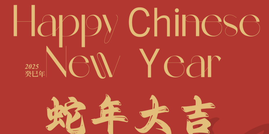 happy new year – cover