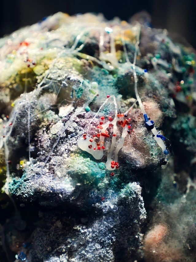 March updated events-cover