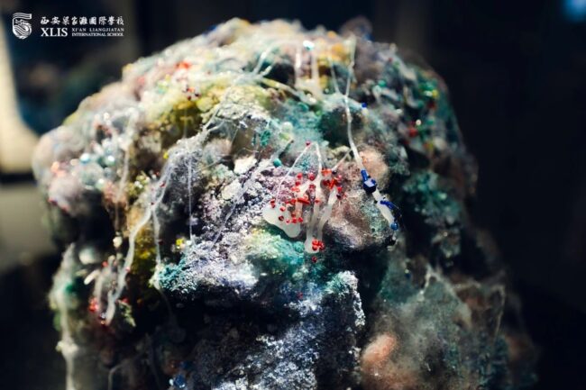 March updated events-cover