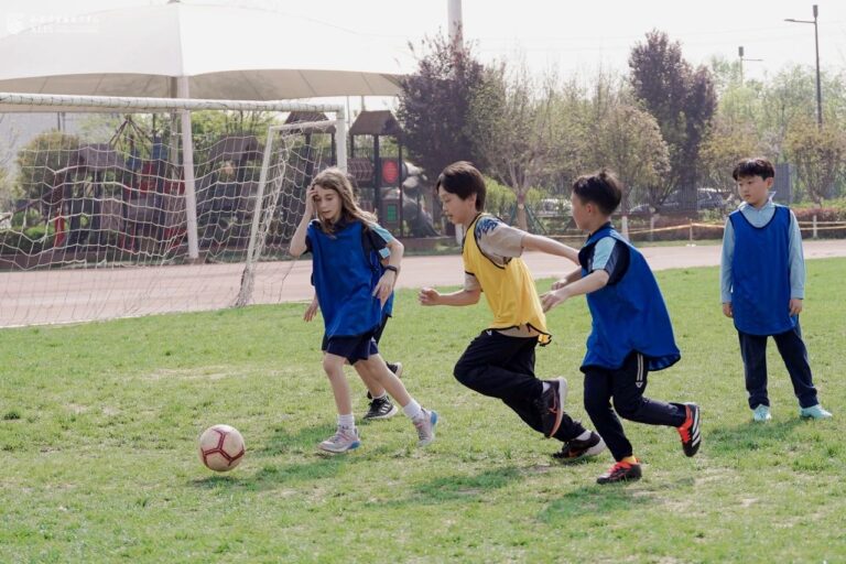 Summer Camp – cover