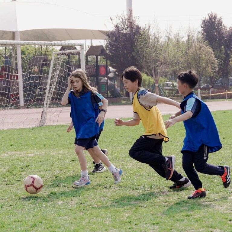 Summer Camp – cover