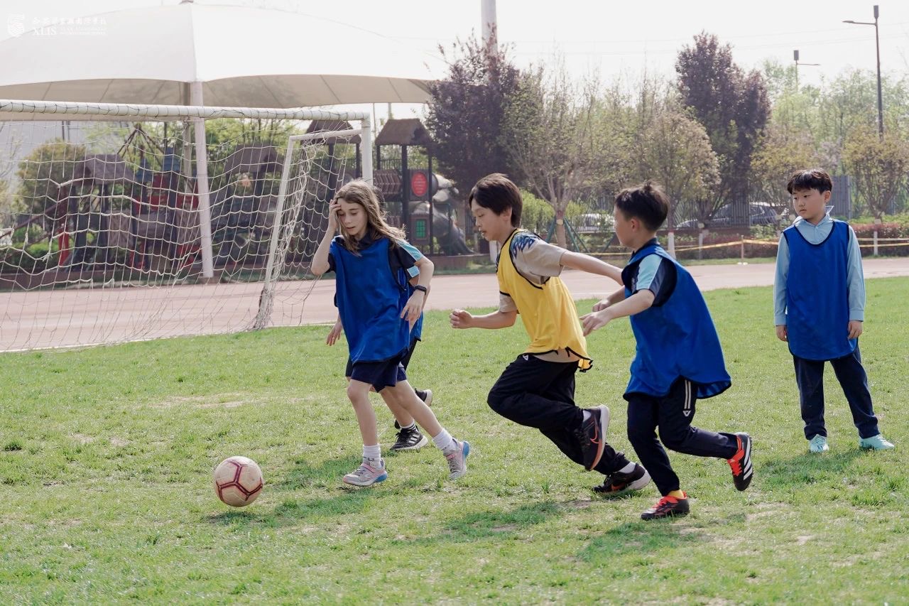 Summer Camp – cover